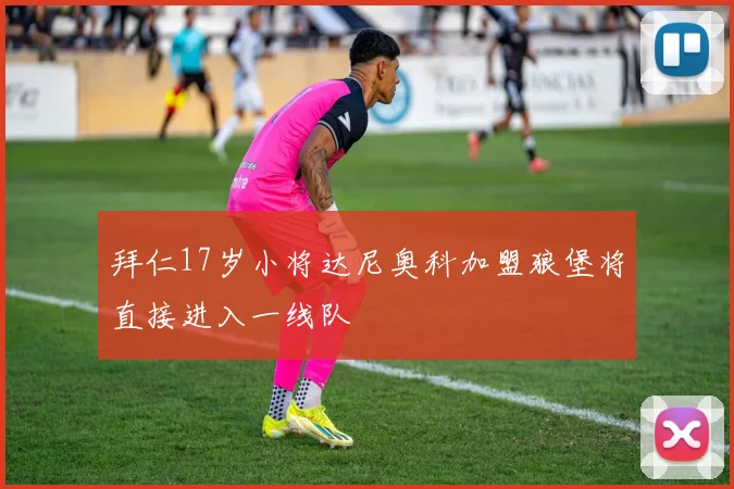 拜仁17岁小将达尼奥科加盟狼堡将直接进入一线队