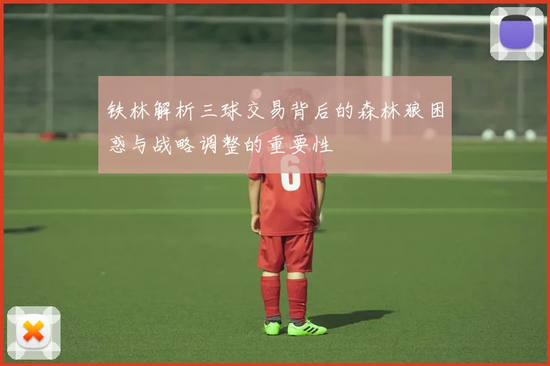 铁林解析三球交易背后的森林狼困惑与战略调整的重要性